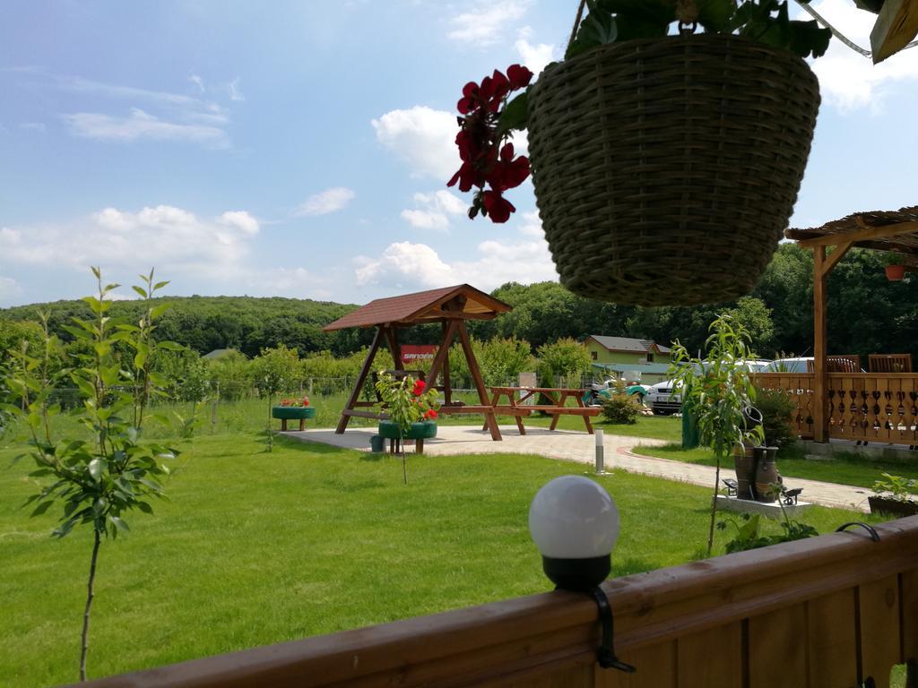 Agropensiunea Valea Fagilor Luncavita 외부 사진