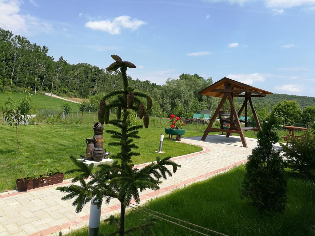 Agropensiunea Valea Fagilor Luncavita 외부 사진