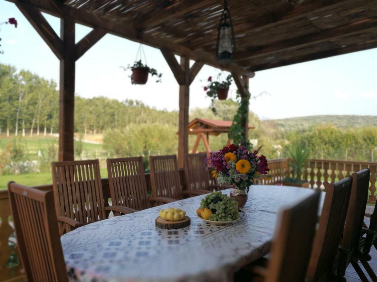 Agropensiunea Valea Fagilor Luncavita 외부 사진