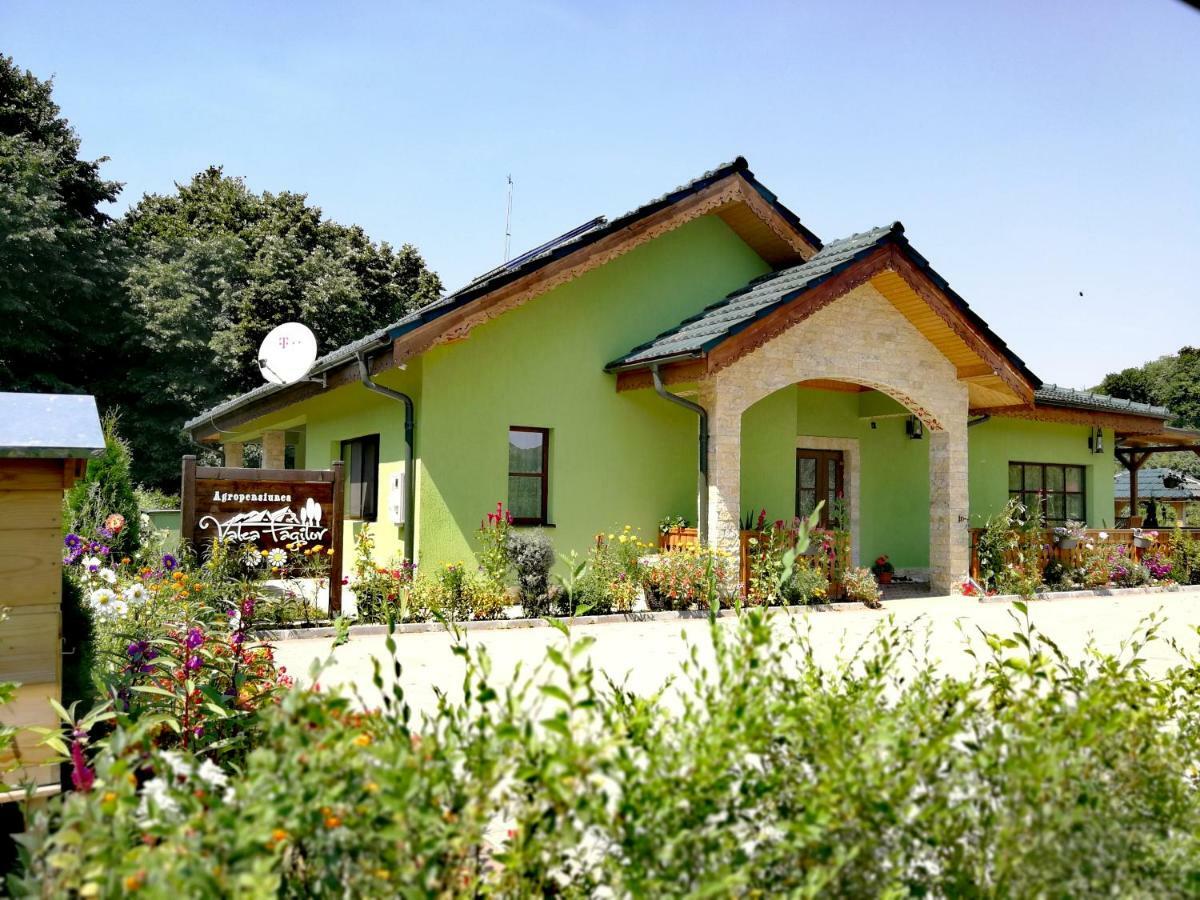 Agropensiunea Valea Fagilor Luncavita 외부 사진