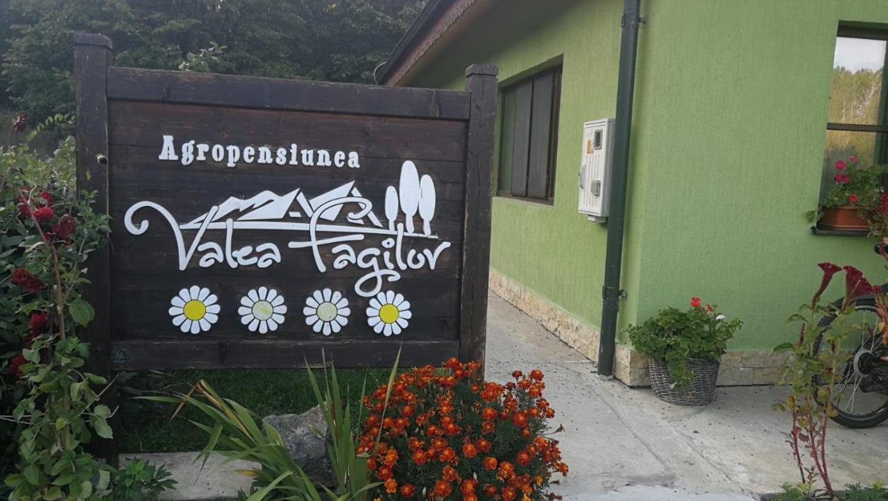 Agropensiunea Valea Fagilor Luncavita 외부 사진